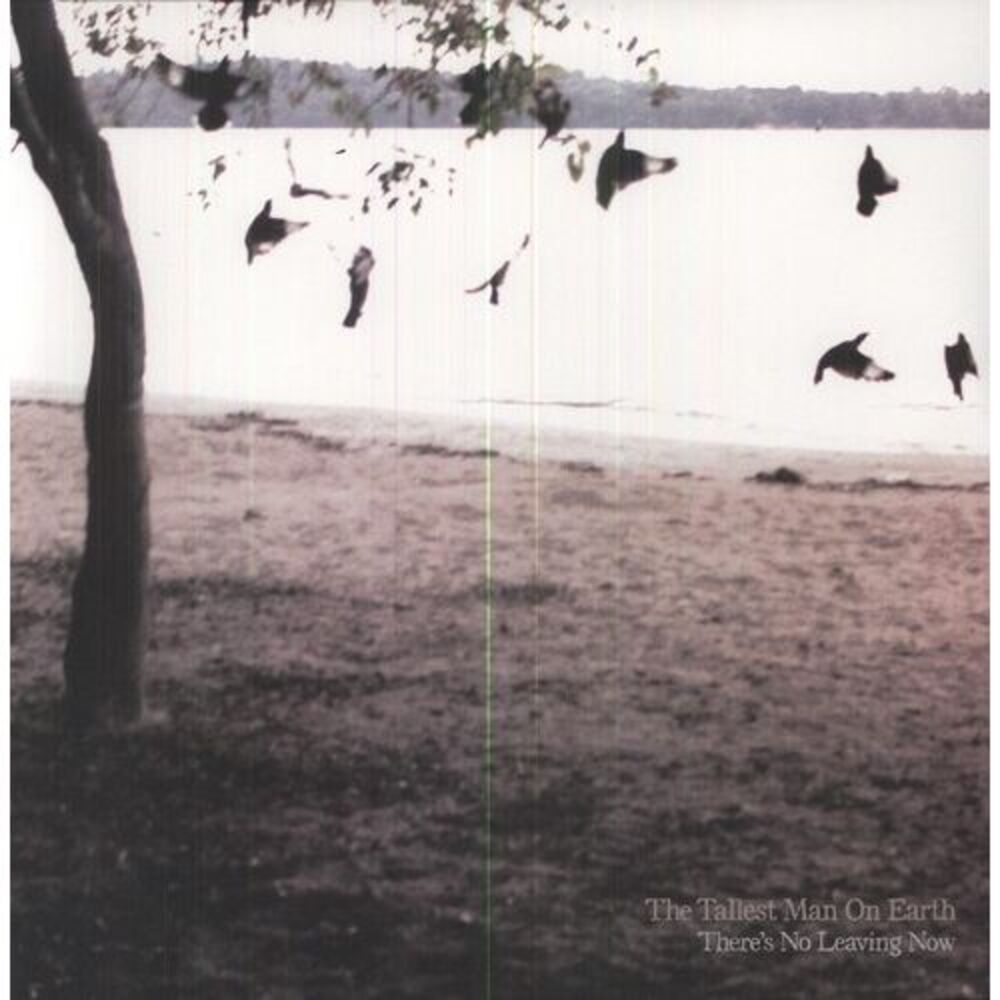 The Tallest Man on Earth - There's No Leaving Now  LP LP